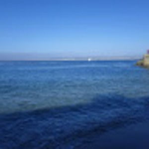 Meet your Posher, Ronny